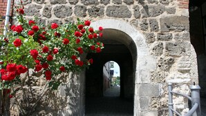 Un passatge d'arc de pedra amb una barana metàl·lica a un costat i una planta florida a l'altre.