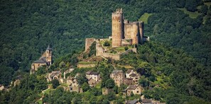 A historic castle on a hill with surrounding buildings, surrounded by dense forest. - Confortable T2 de 55m2 au 1er Étage (Villefranche-de-Rouergue)