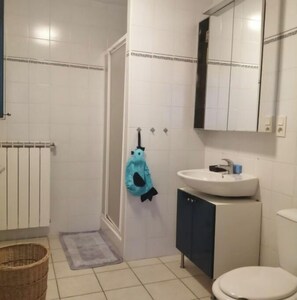 Shower, towels, toilet paper