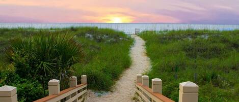 Playa en los alrededores