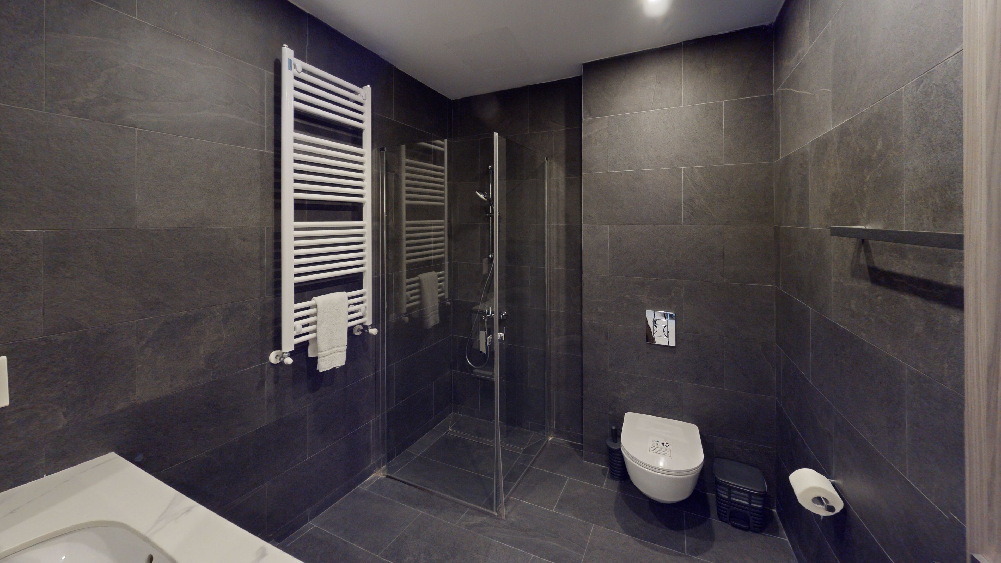 A modern bathroom with dark tiles, a glass-enclosed shower, a white toilet, and a white towel warmer.