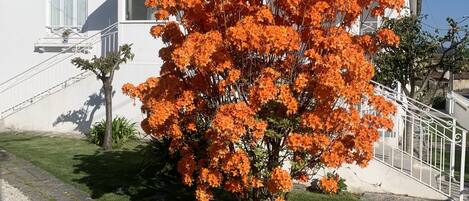 Details aan de buitenkant