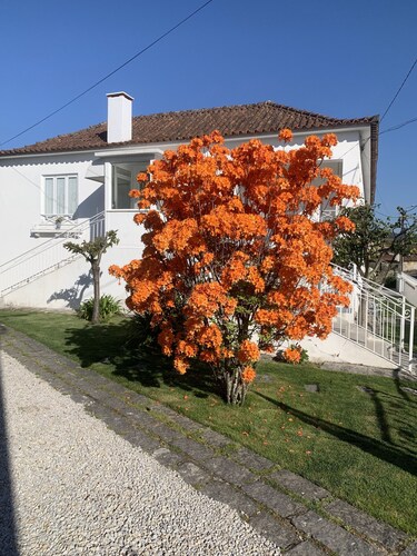 3 bedroom private vacation home in paã§os de ferreira