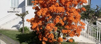 3 bedroom private vacation home in paã§os de ferreira