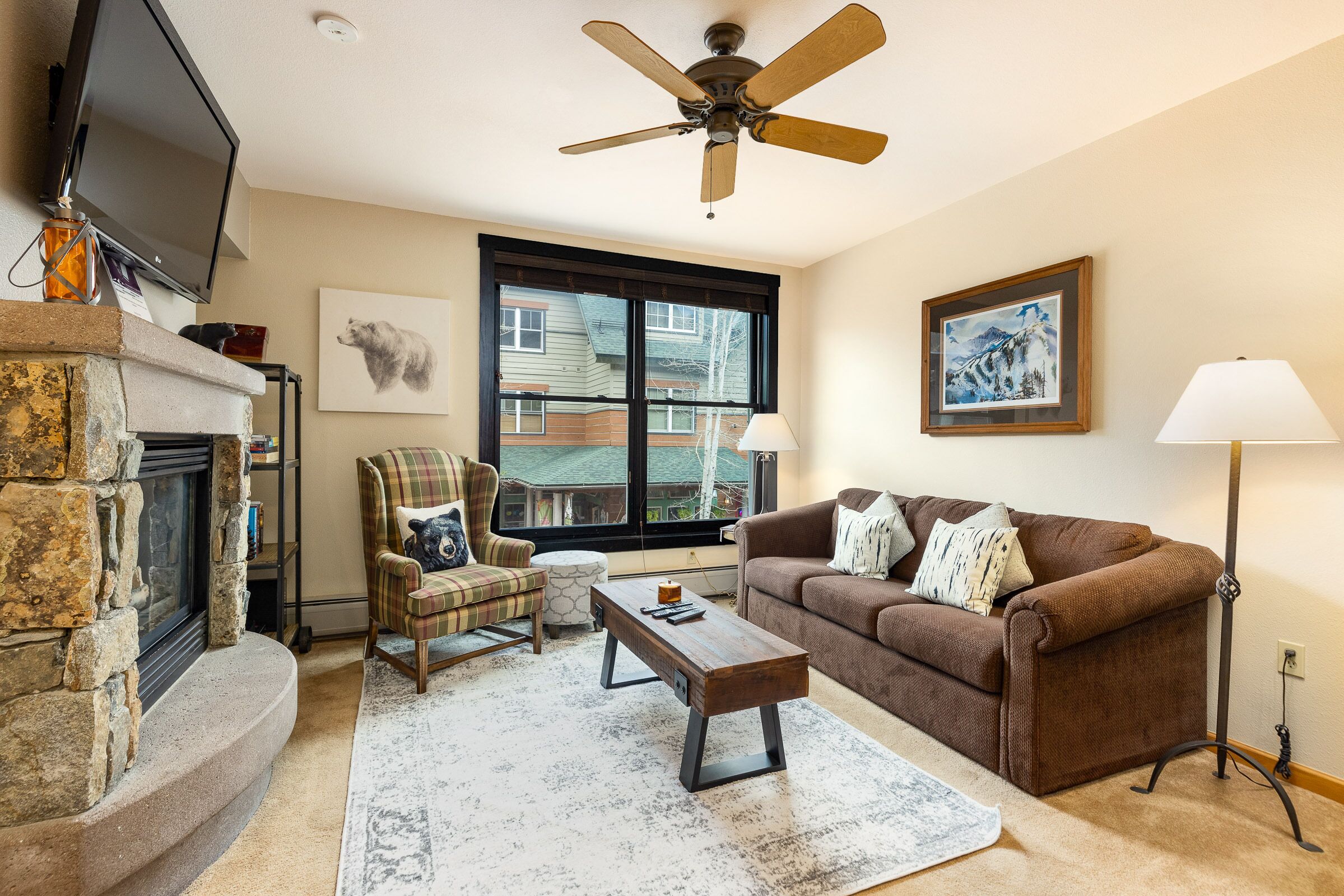 TV, lareira, DVD player, livros