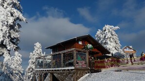 Un chalet en bois doté d’une plateforme d’observation en verre, entouré d’arbres couverts de neige.
