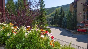 公寓客房, 1 間臥室 | 住宿一隅