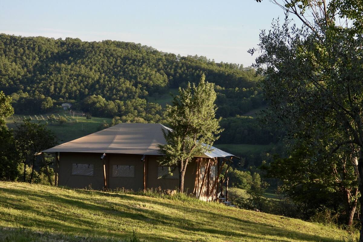 A rustic building with a sloped roof, surrounded by a grassy landscape and dense forest.