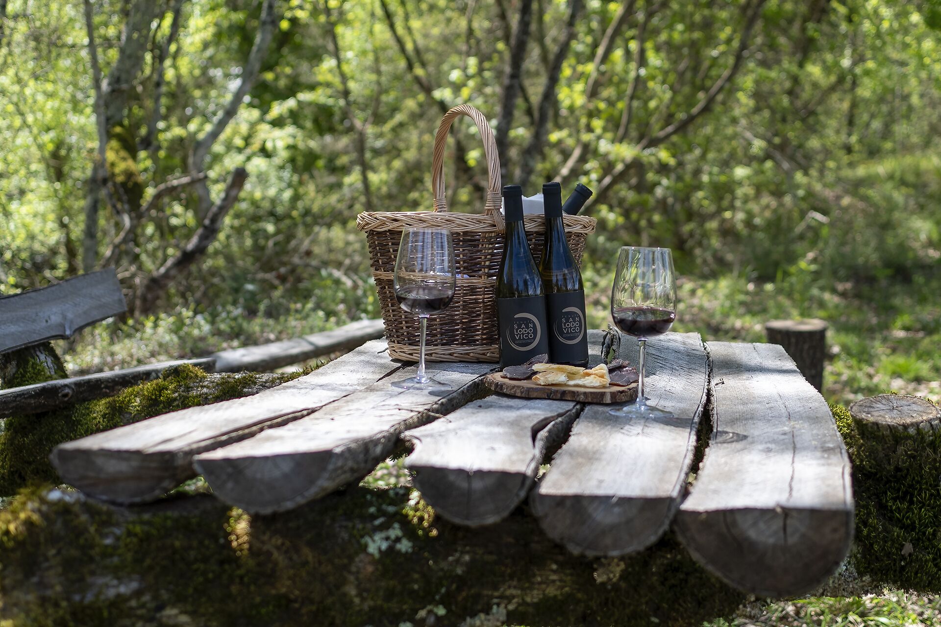 A picnic setup on a wooden bench in a forest.
