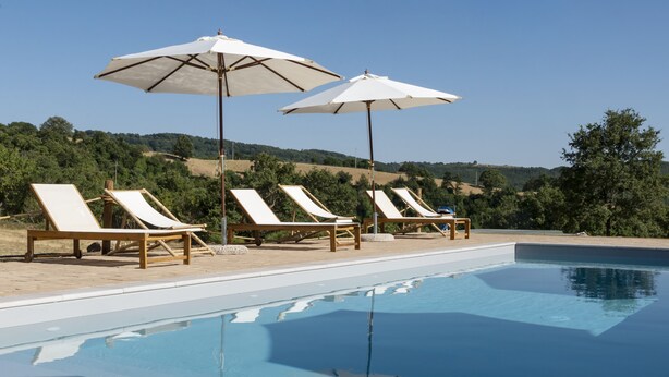 A swimming pool with lounge chairs and umbrellas, surrounded by a landscaped area with trees and hills in the background. - Tenuta San Lodovico (Scansano)