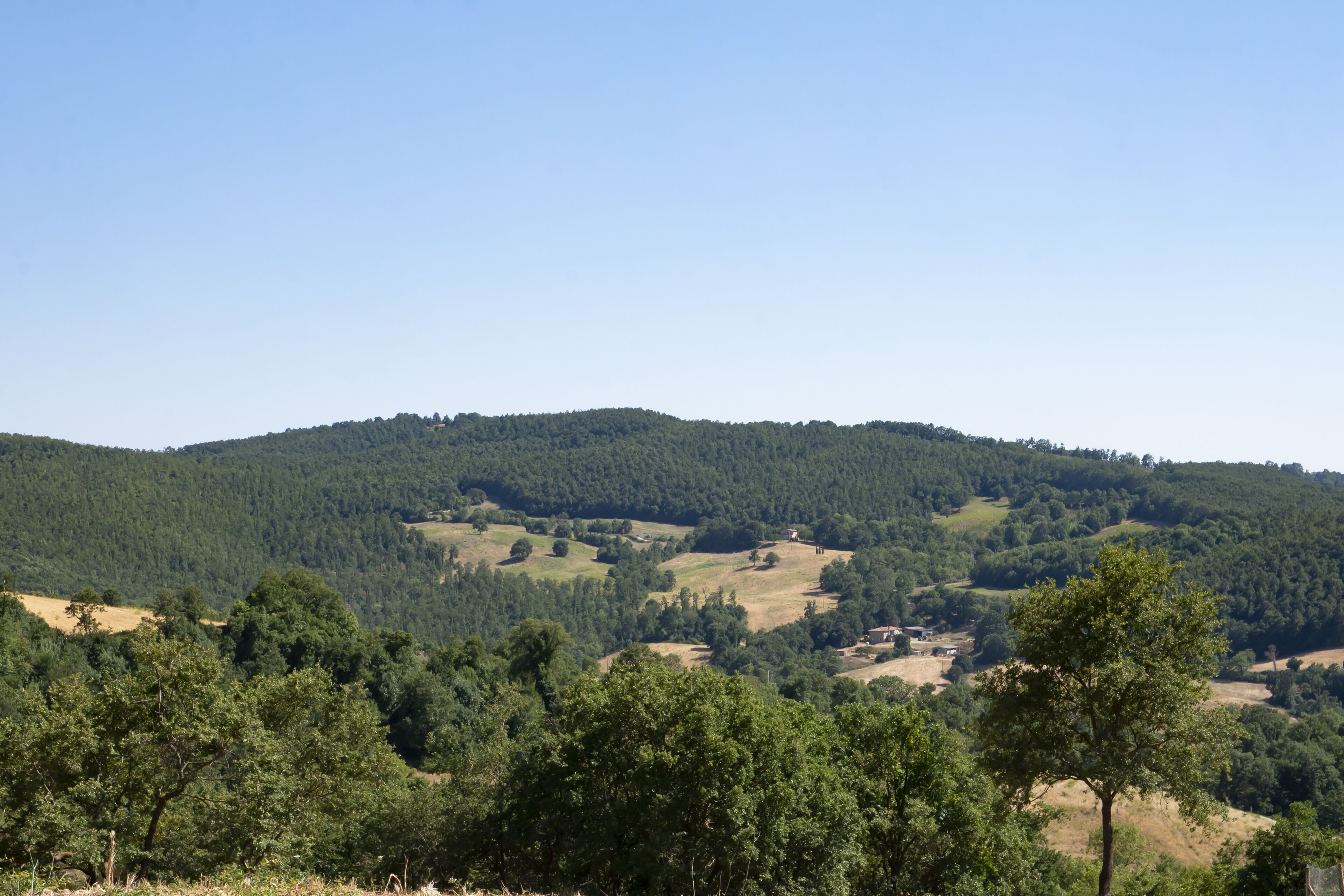 Paesaggio rurale con dolci colline, fitti boschi e edifici sparsi.