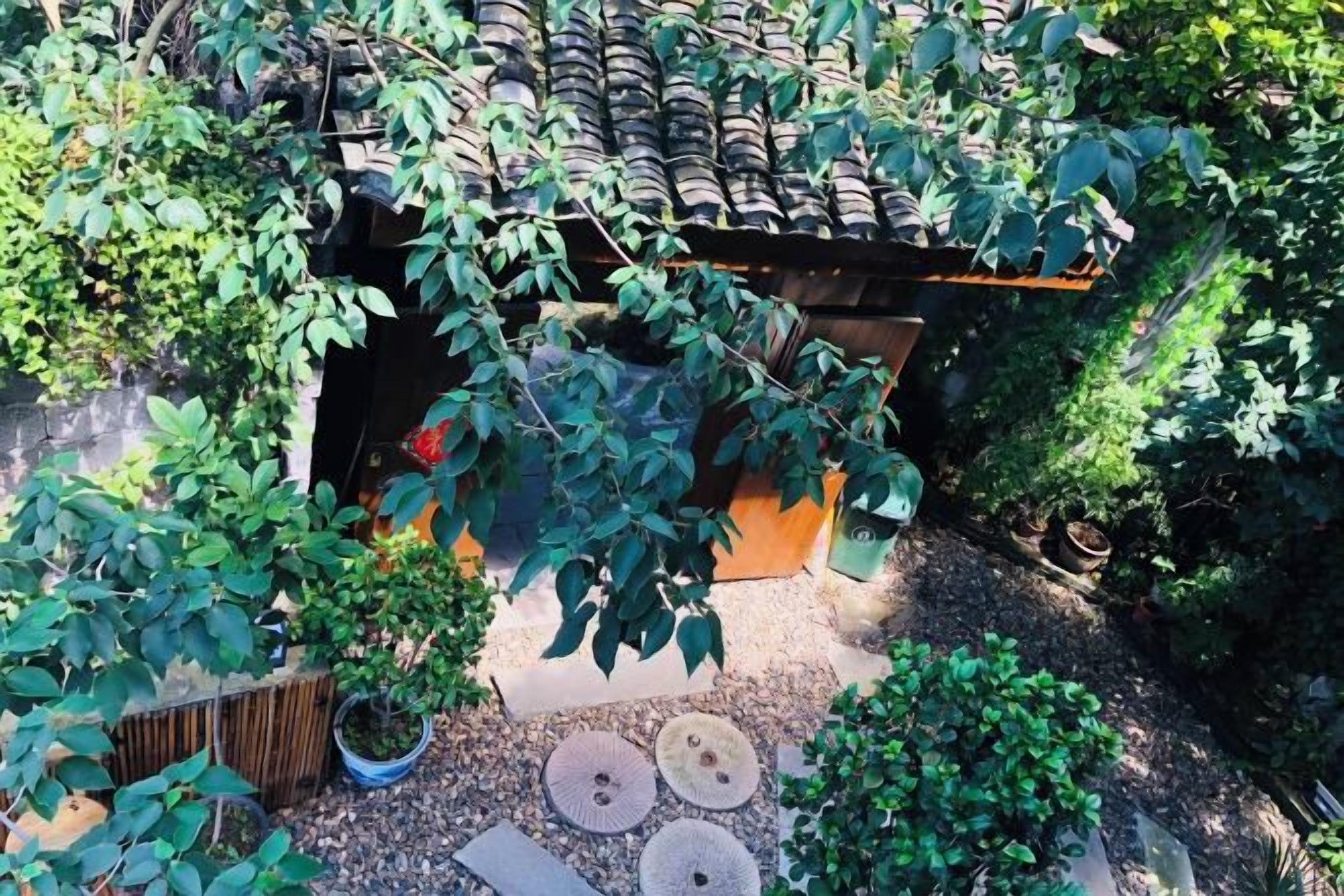 A garden with a tiled roof structure, surrounded by various plants and trees.