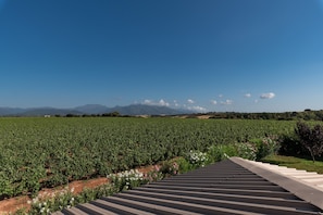 Área da propriedade