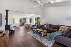 TV, fireplace, books