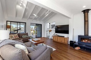 TV, fireplace, books