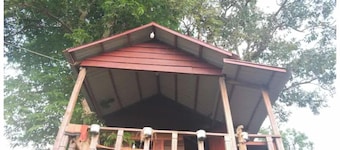 Ban Lung Tree -Top Lodge