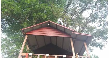 Ban Lung Tree -Top Lodge
