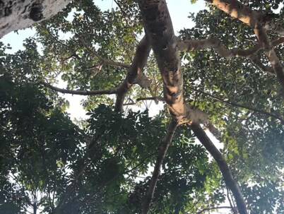 Banlung Eco-Lodge Tanam
