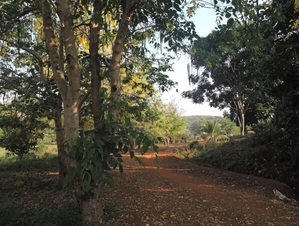Property grounds