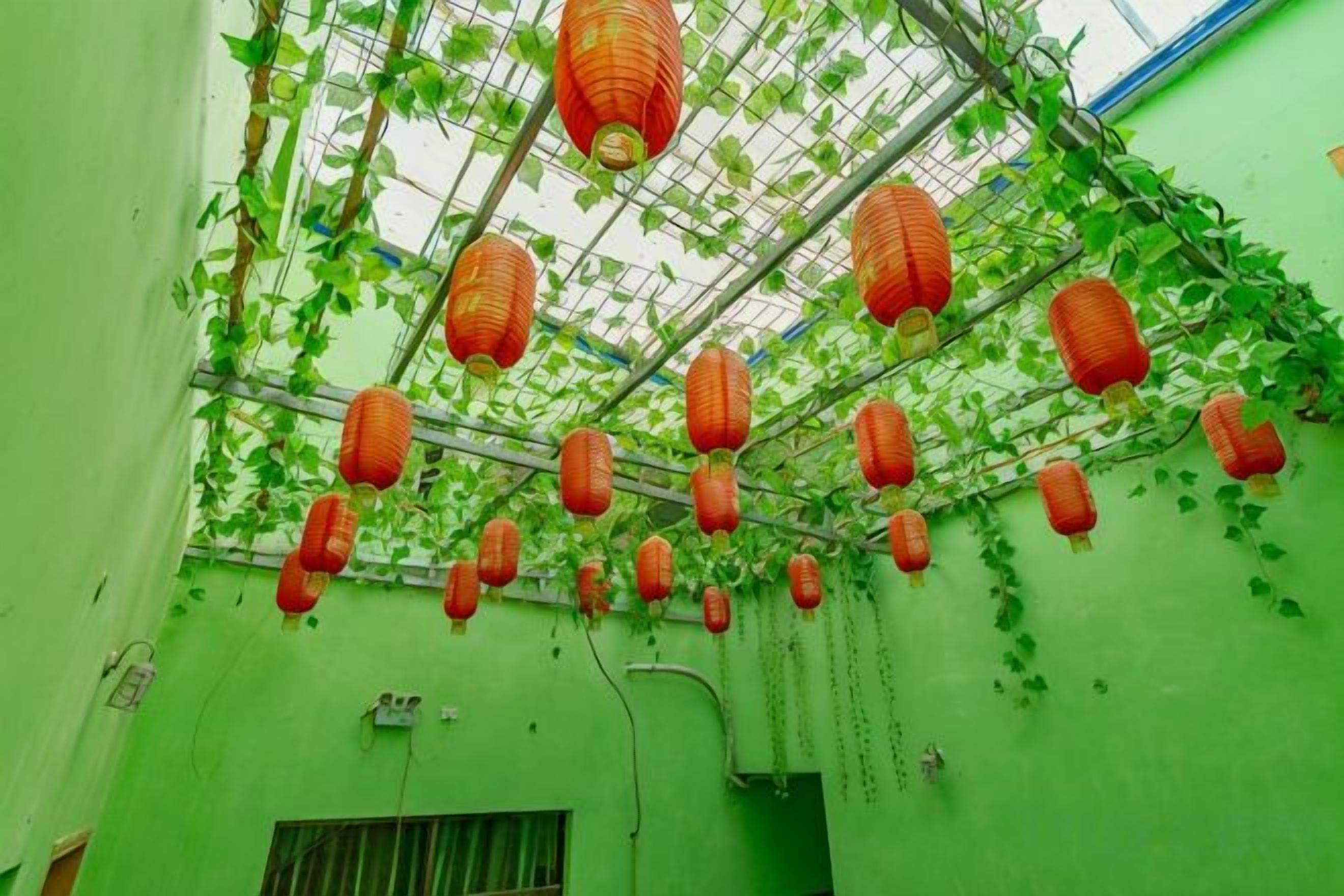 A room with green walls, a window with bars, and red lanterns hanging from the ceiling.