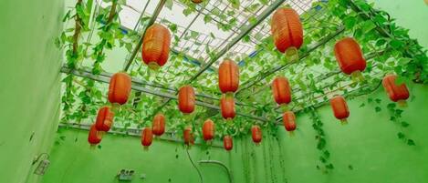 A room with green walls, a window with bars, and red lanterns hanging from the ceiling.