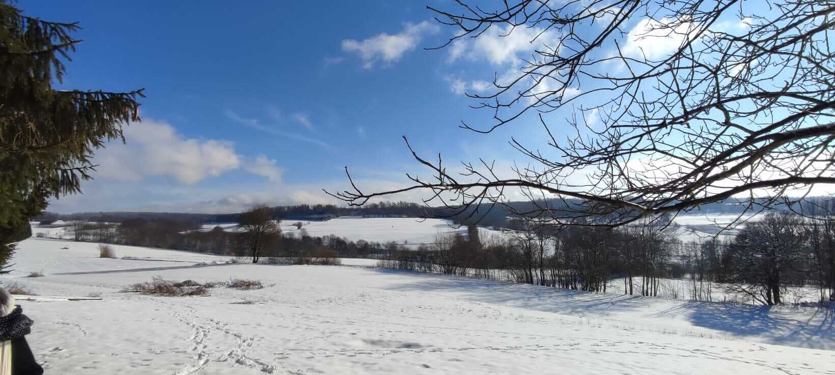 Schneelandschaft mit blauem Himmel und einem Baum im Vordergrund.