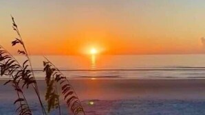 Escena de platja amb el sol ponent-se a l'horitzó, aigua tranquil·la i alts grams a primer pla.