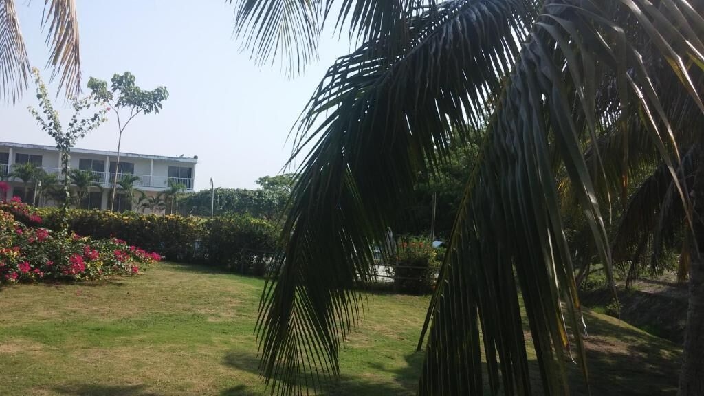 Photo - Hotel parador tropical