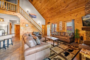 TV, fireplace, books