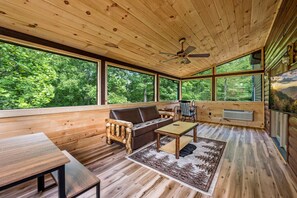 TV, fireplace, books