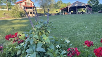 Boendeområde