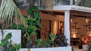 A modern building with a white exterior, a balcony with potted plants, and a well-lit interior with hanging lights and shelves. - Dhoadhi Retreat (Thulusdhoo Island)
