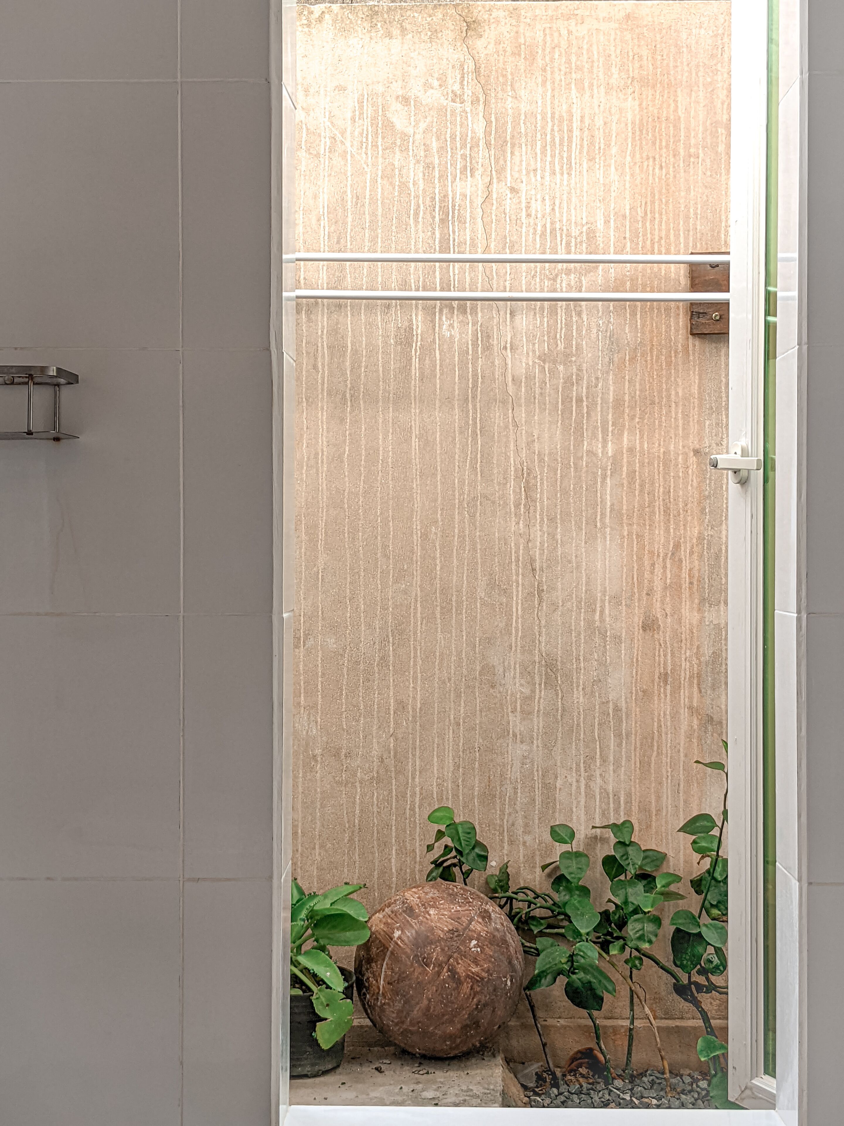 Un baño con pared de madera texturizada, un perchero metálico y plantas en macetas.