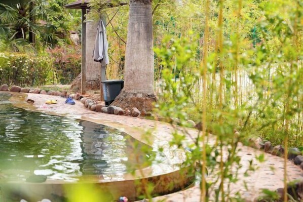 Pool - Nanxiqiao Hotel (Fumin)