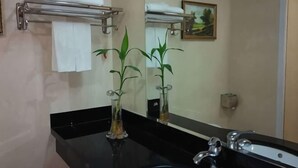 A bathroom with a black countertop, a sink, a mirror, and two potted plants. - Jinlang Mansion Hotel (Taishan)