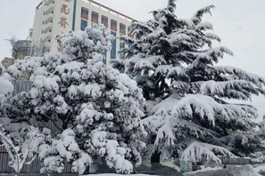 Garden - Kunyu Hotel (Weihai)