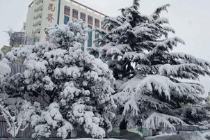 Un edificio de varios pisos rodeado de árboles cubiertos de nieve.