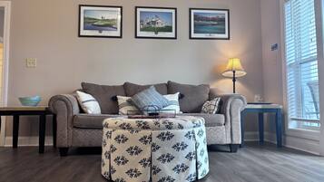 Smart TV, DVD player, books, music library