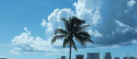 حمّام سباحة خارجي