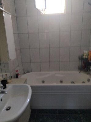Combined shower/tub, jetted tub, hair dryer, bidet