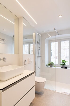 Shower, free toiletries, hair dryer, towels