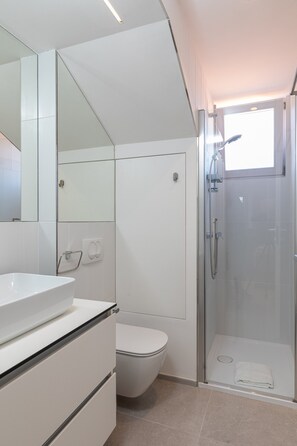 Shower, hair dryer, towels
