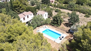 Vista aérea de una propiedad con piscina rodeada de árboles, dos casas y un viñedo.