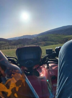 Overnattingsstedets uteområder