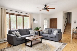 Smart TV, fireplace, books