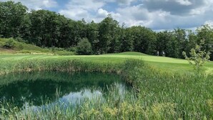 Ein Golfplatz mit Teich, umgeben von dichten Bäumen und blauem Himmel.