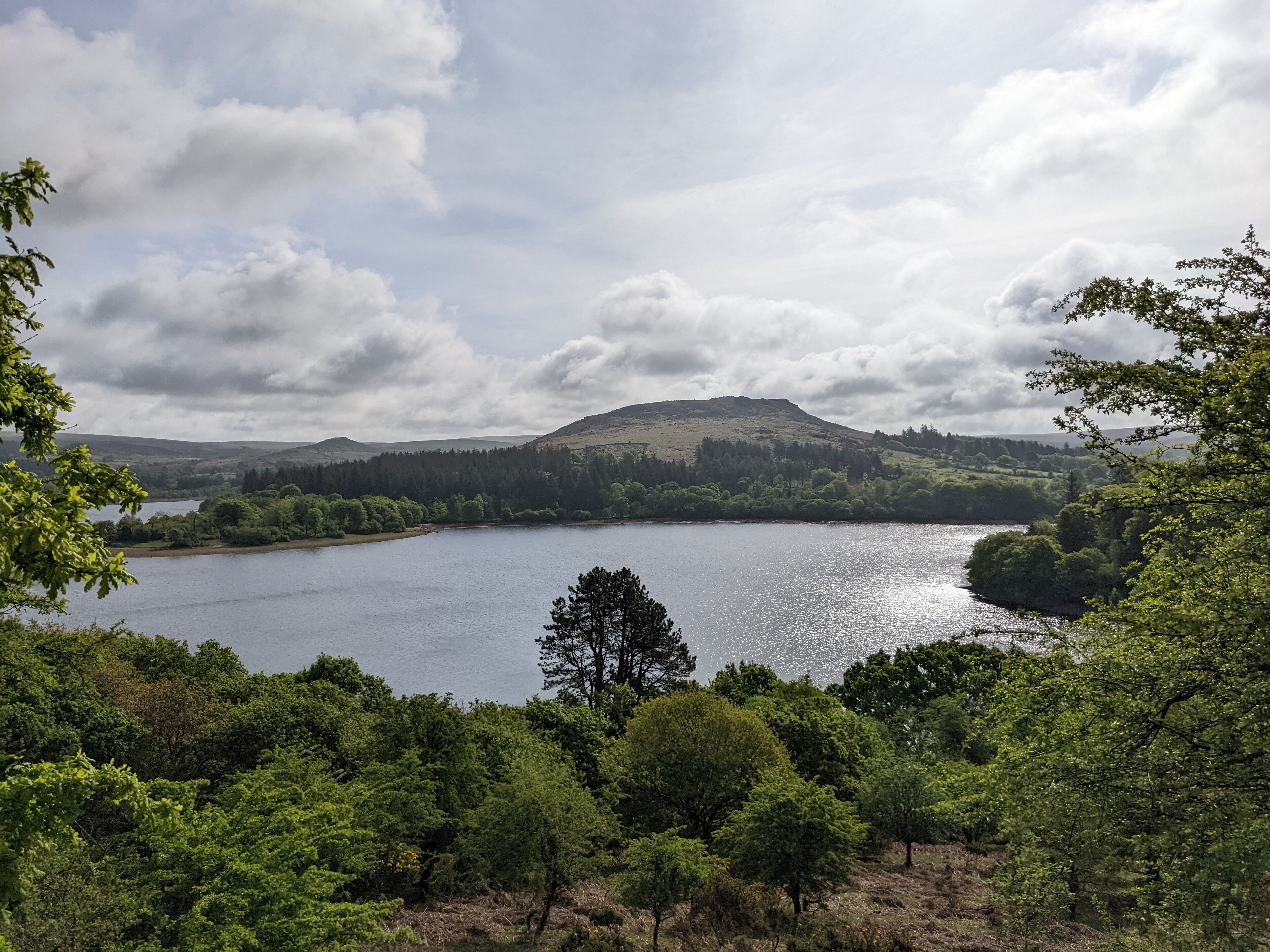 Un lac entouré d’une forêt dense et de collines.