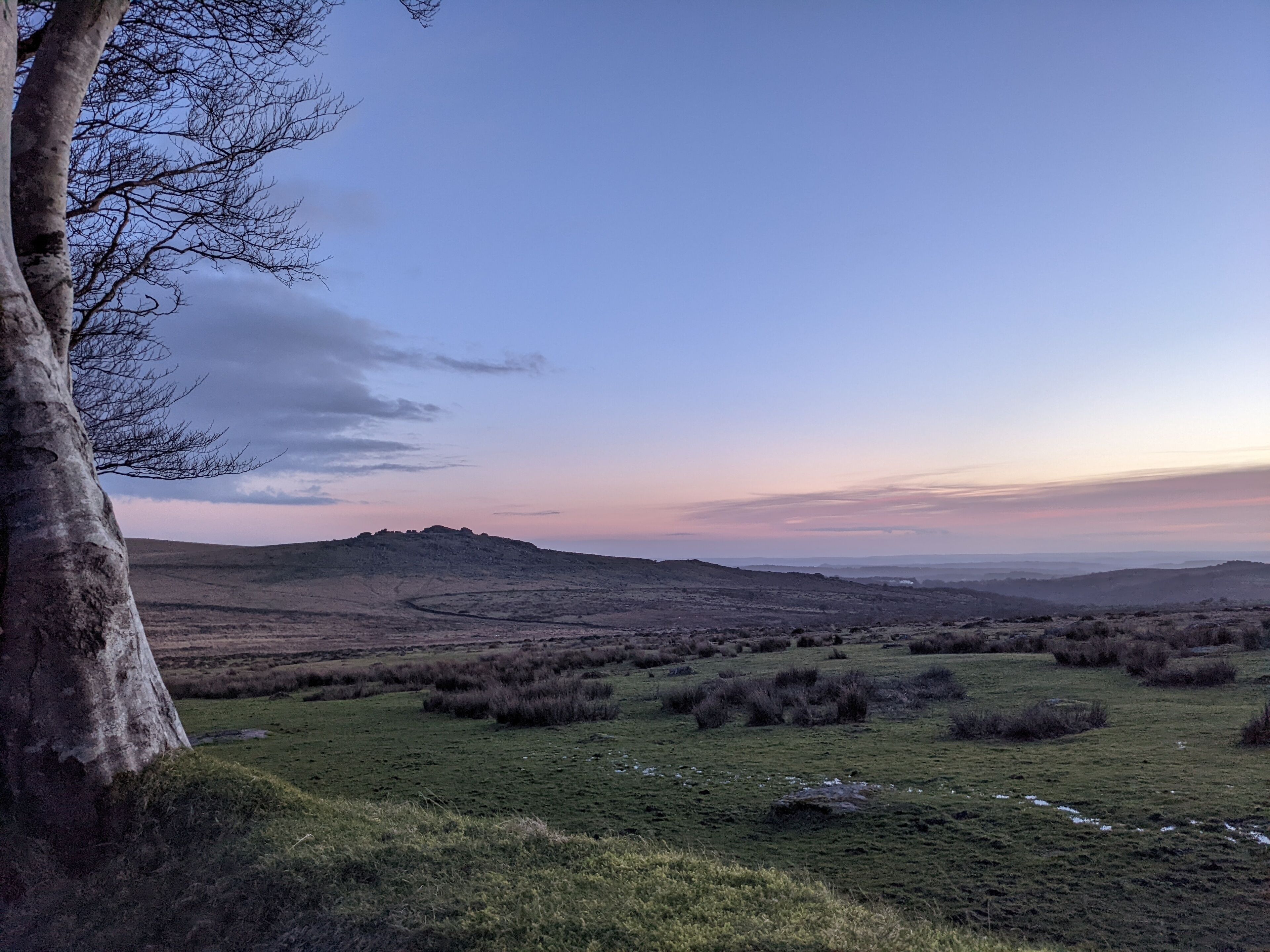 A landscape with rolling hills, a tree on the left, and a clear sky.