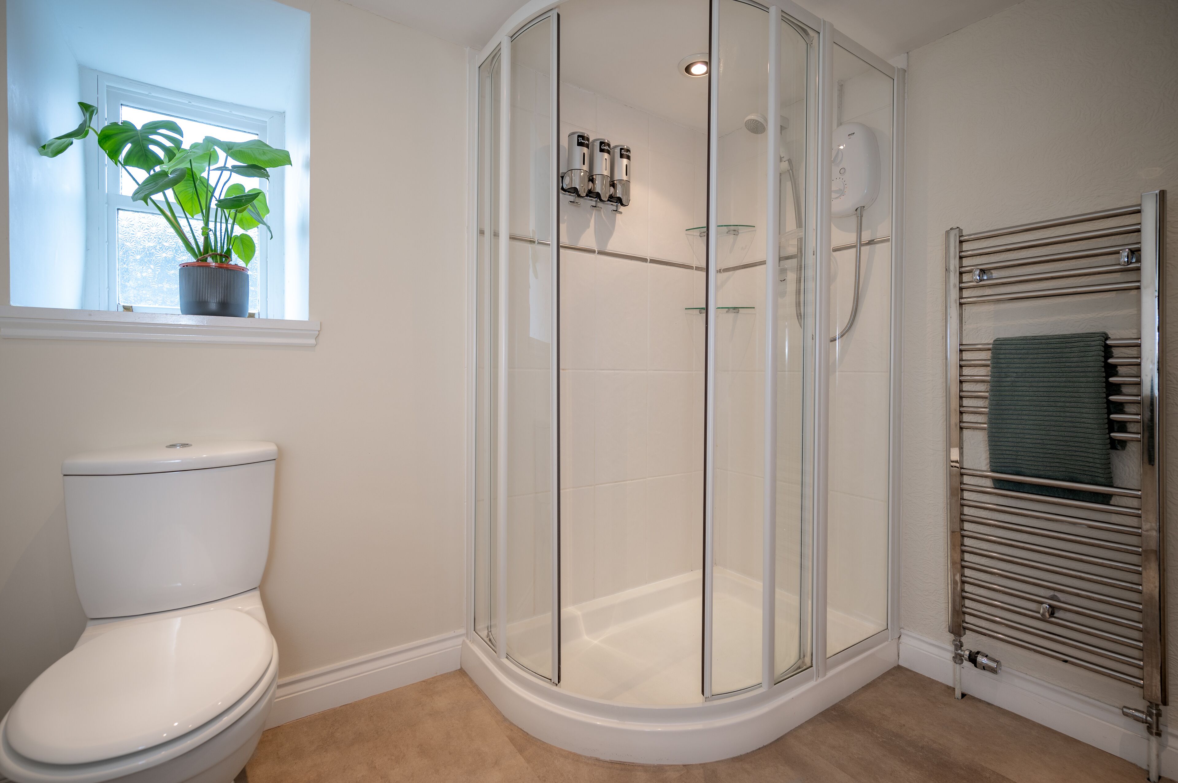 A modern bathroom with a glass-enclosed shower, a white toilet, and a potted plant by the window.
