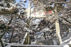 Una scala conduce a una struttura con un cartello, circondata da alberi innevati.